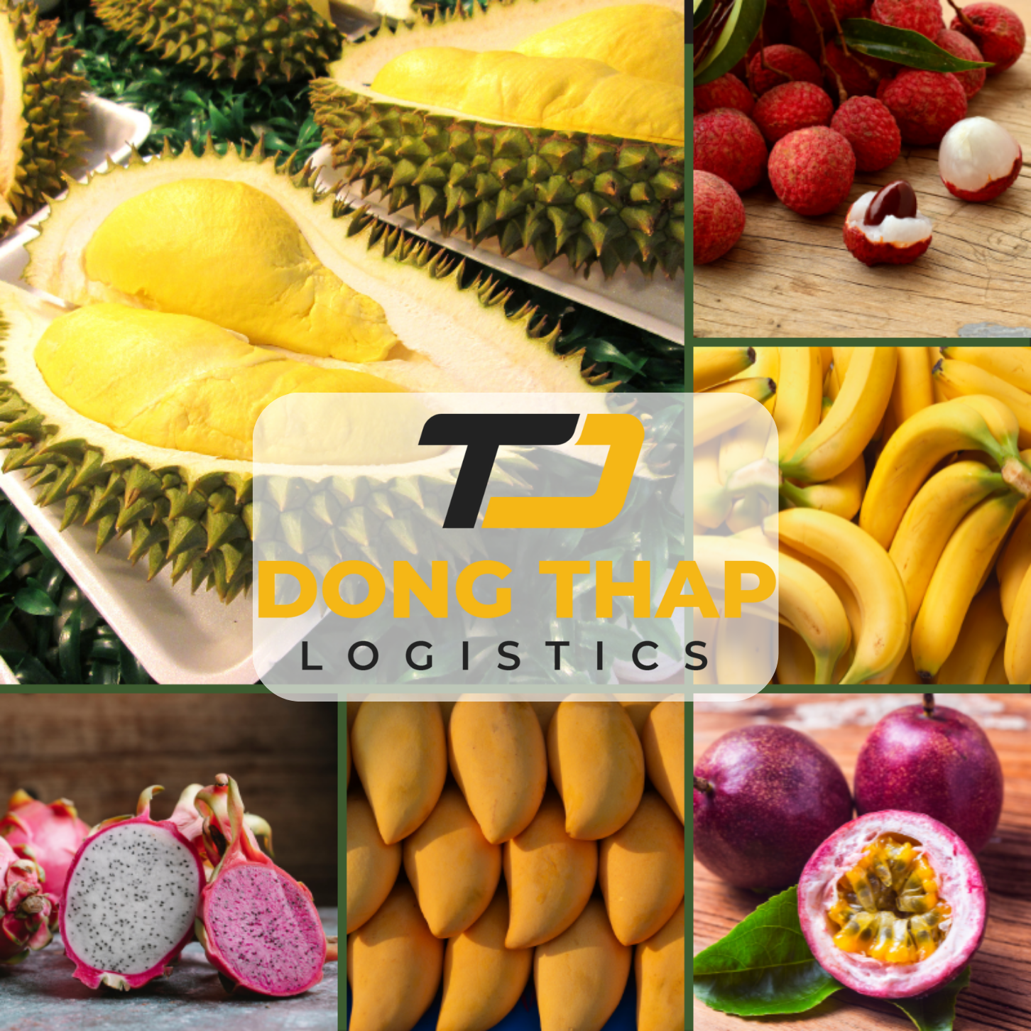 Đóng gói và vận chuyển trái cây xuất khẩu sang thị trường quốc tế