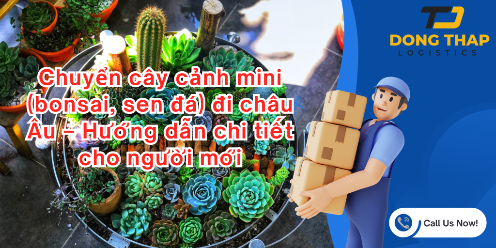 Chuyển cây cảnh mini (bonsai, sen đá) đi châu Âu – Hướng dẫn chi tiết cho người mới
