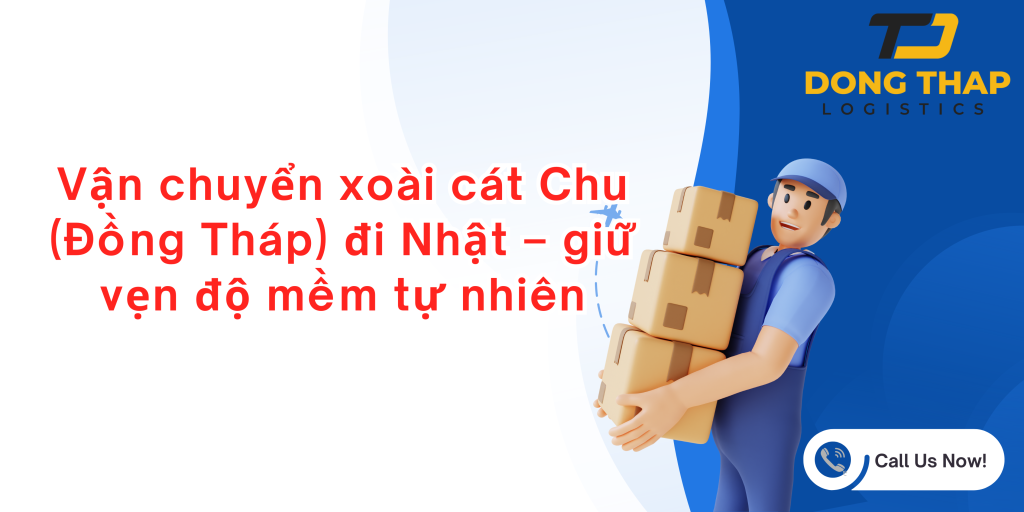Vận chuyển xoài cát Chu (Đồng Tháp) đi Nhật – giữ vẹn độ mềm tự nhiên