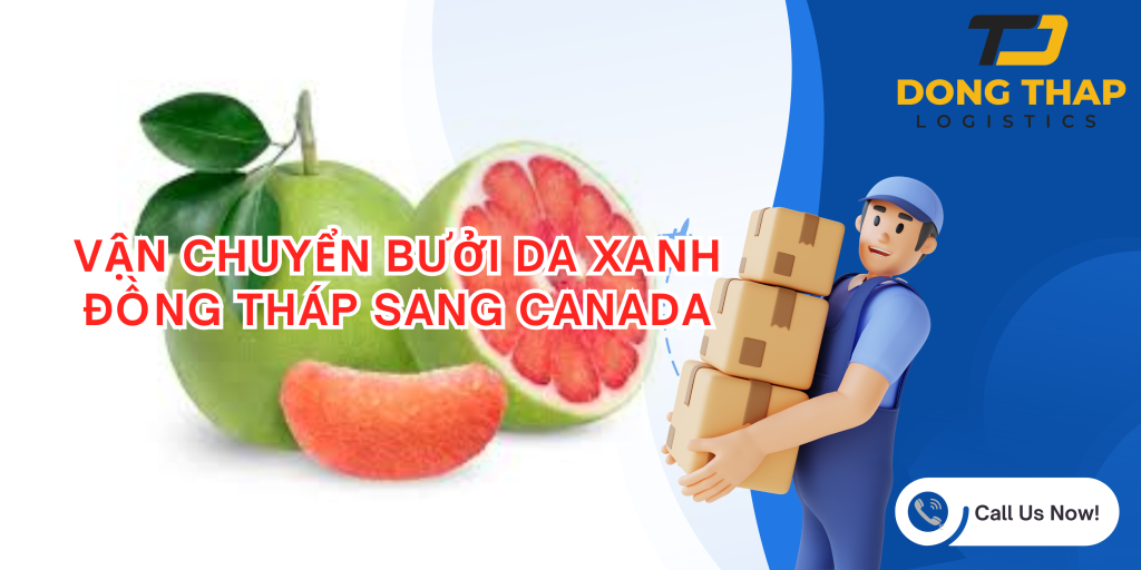 VẬN CHUYỂN BƯỞI DA XANH ĐỒNG THÁP SANG CANADA