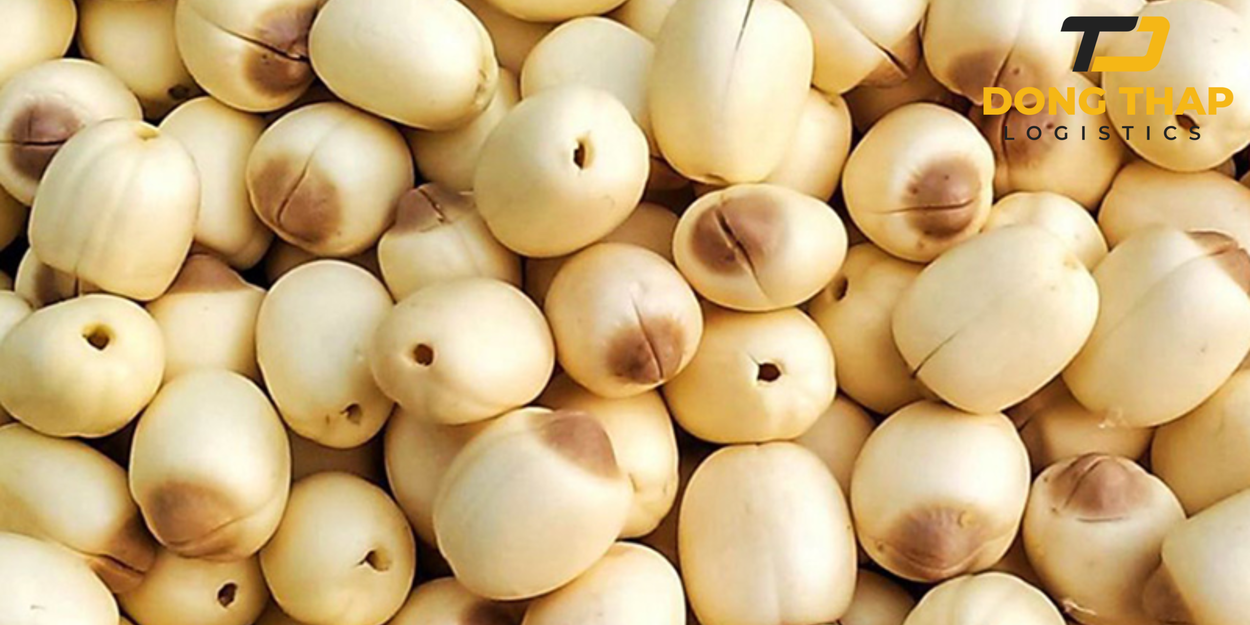 Vận chuyển sen khô, hạt sen Đồng Tháp đi Nhật Bản