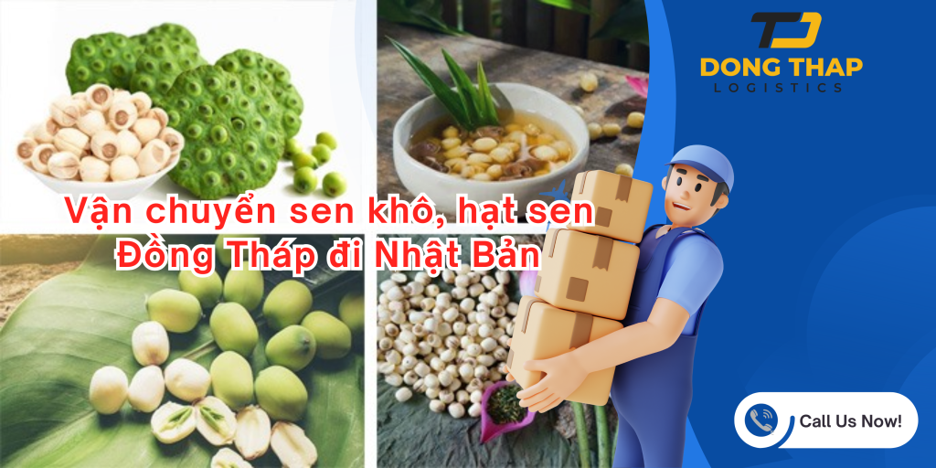 Vận chuyển sen khô, hạt sen Đồng Tháp đi Nhật Bản