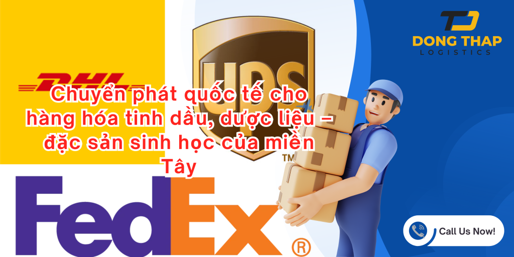 Chuyển phát quốc tế cho hàng hóa tinh dầu, dược liệu – đặc sản sinh học của miền Tây