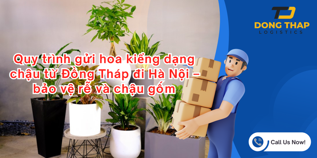 Quy trình gửi hoa kiểng dạng chậu từ Đồng Tháp đi Hà Nội – bảo vệ rễ và chậu gốm