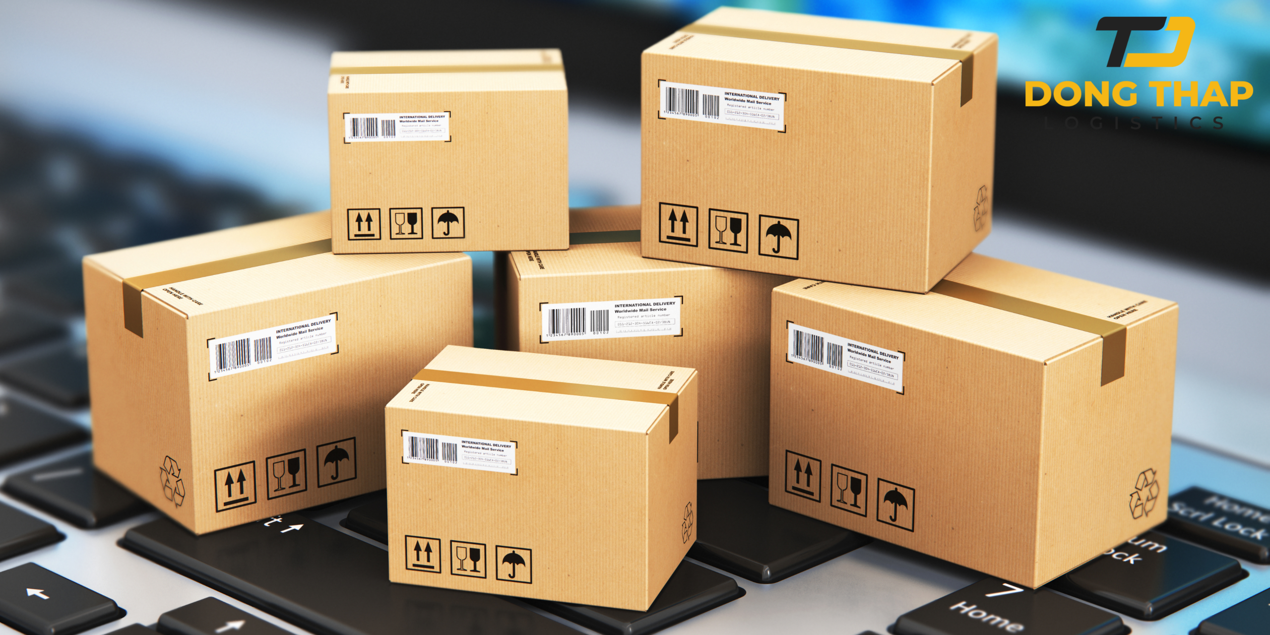 Dịch vụ chuyển phát nhanh quốc tế tại Đồng Tháp 