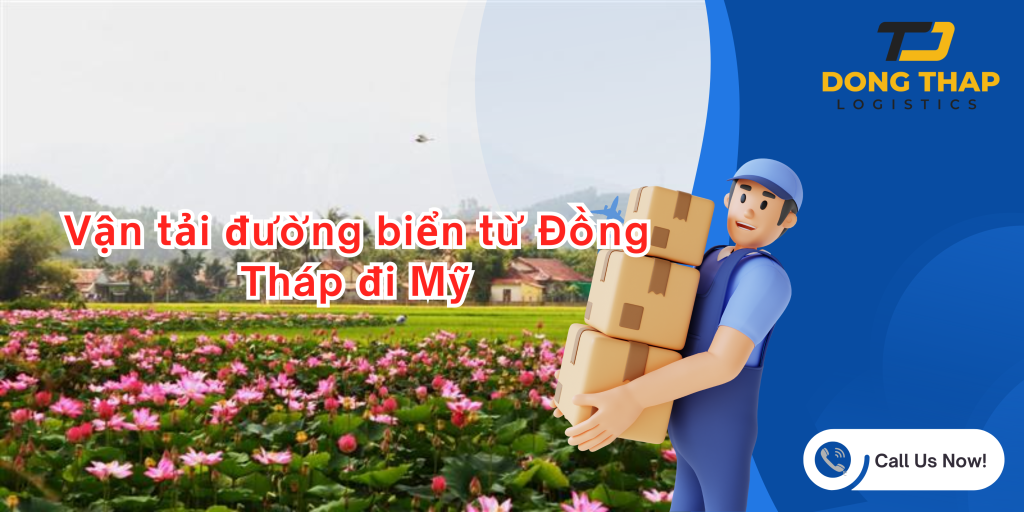 Vận tải đường biển từ Đồng Tháp đi Mỹ