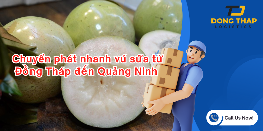 Chuyển phát nhanh vú sữa từ Đồng Tháp đến Quảng Ninh