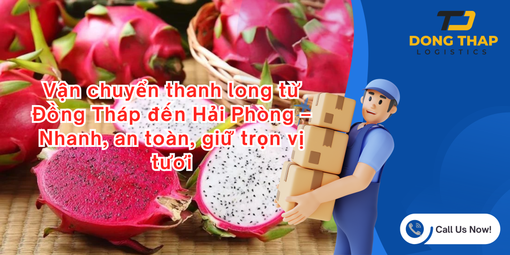 Vận chuyển thanh long từ Đồng Tháp đến Hải Phòng – Nhanh, an toàn, giữ trọn vị tươi