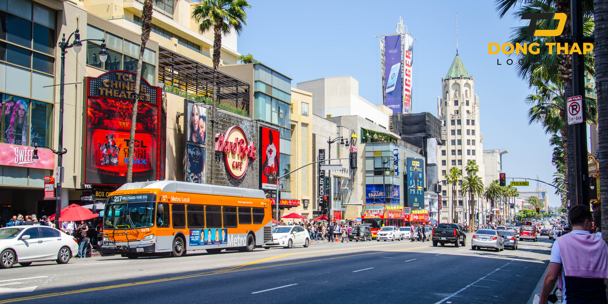 Giải pháp vận chuyển hàng hóa từ California về Đồng Tháp nhanh chóng – an toàn – tiết kiệm