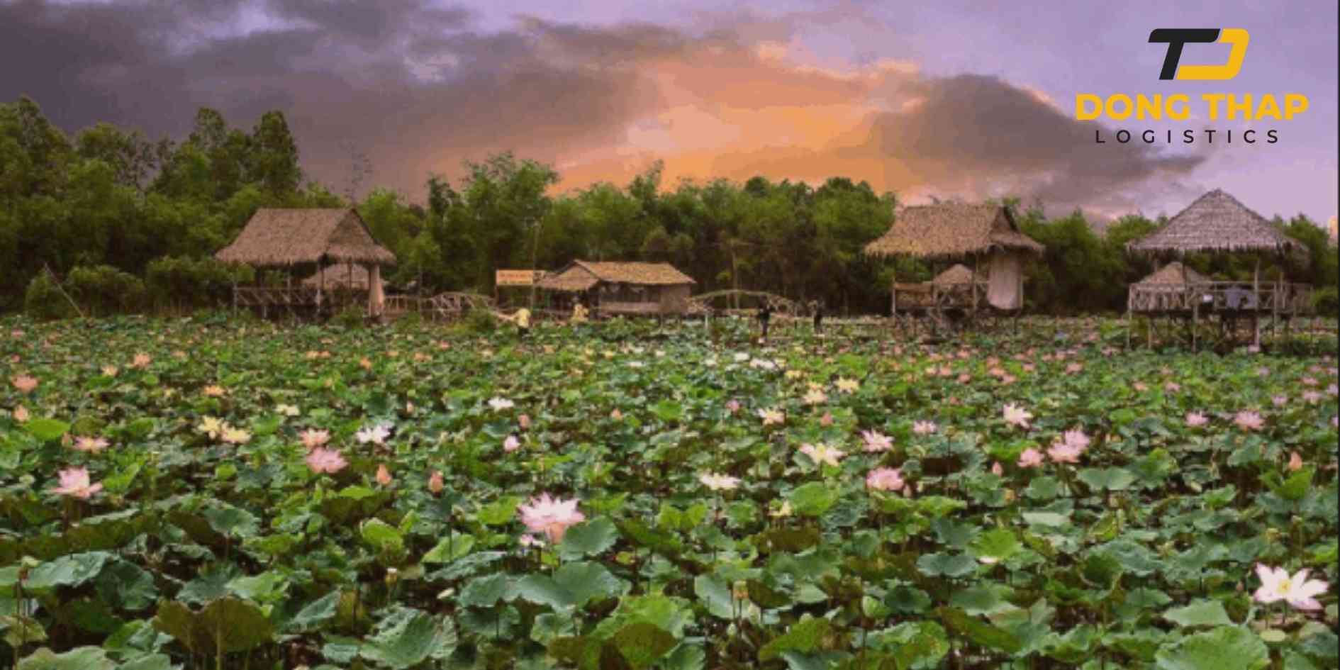 Gửi hàng từ Đồng Tháp chuyên tuyến đến Phần Lan giá rẻ – Nhanh chóng, an toàn cùng Đồng Tháp Logistics