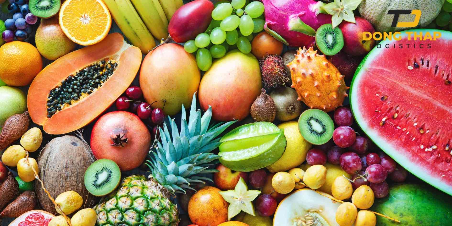 Vận Chuyển Trái Cây Nội Địa Hỏa Tốc Bằng Đường Hàng Không – Nhanh Chóng, An Toàn, Giá Cạnh Tranh