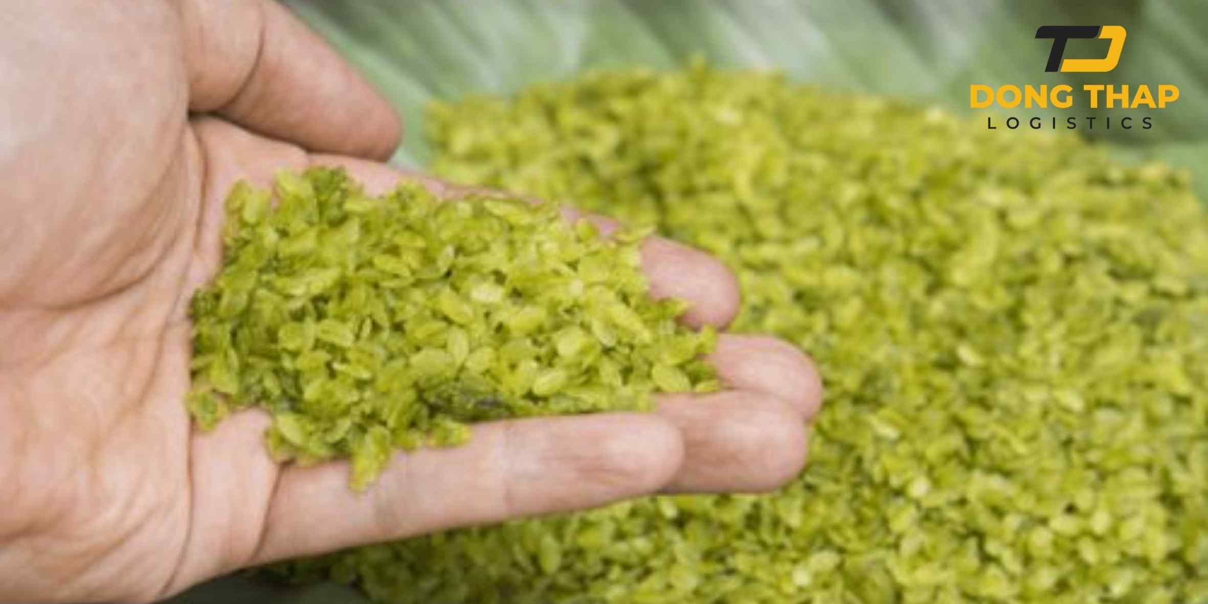 Dịch Vụ Vận Chuyển Cốm Khô Đi Mỹ Cho Người Thân – Nhanh Chóng, An Toàn Và Tiện Lợi