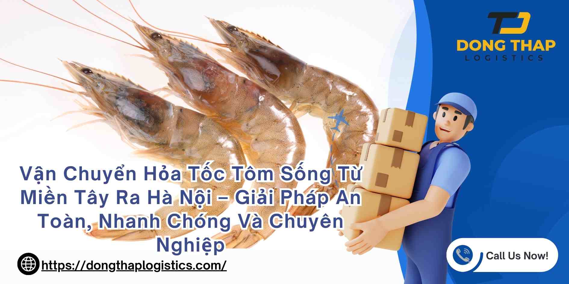 Vận Chuyển Hỏa Tốc Tôm Sống Từ Miền Tây Ra Hà Nội