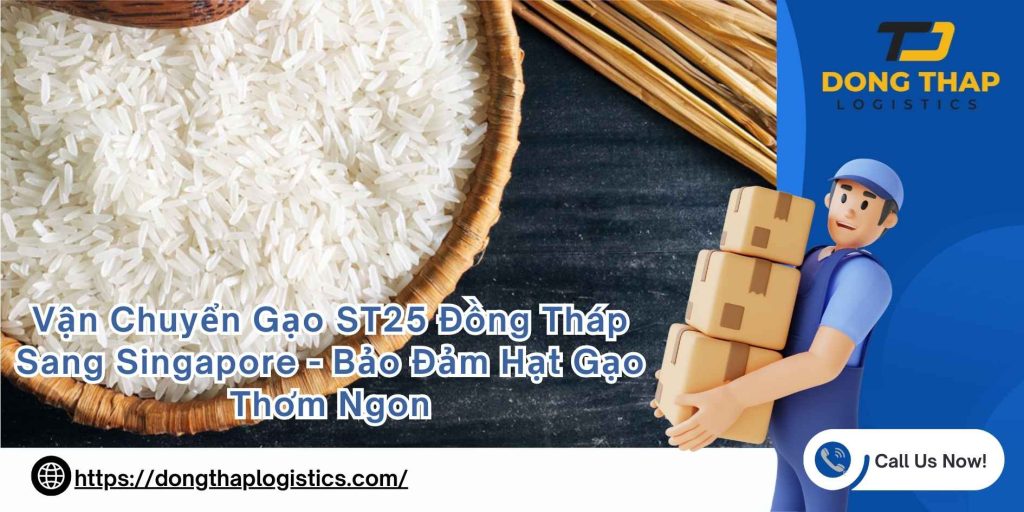 Vận Chuyển Gạo ST25 Đồng Tháp Sang Singapore - Bảo Đảm Hạt Gạo Thơm Ngon