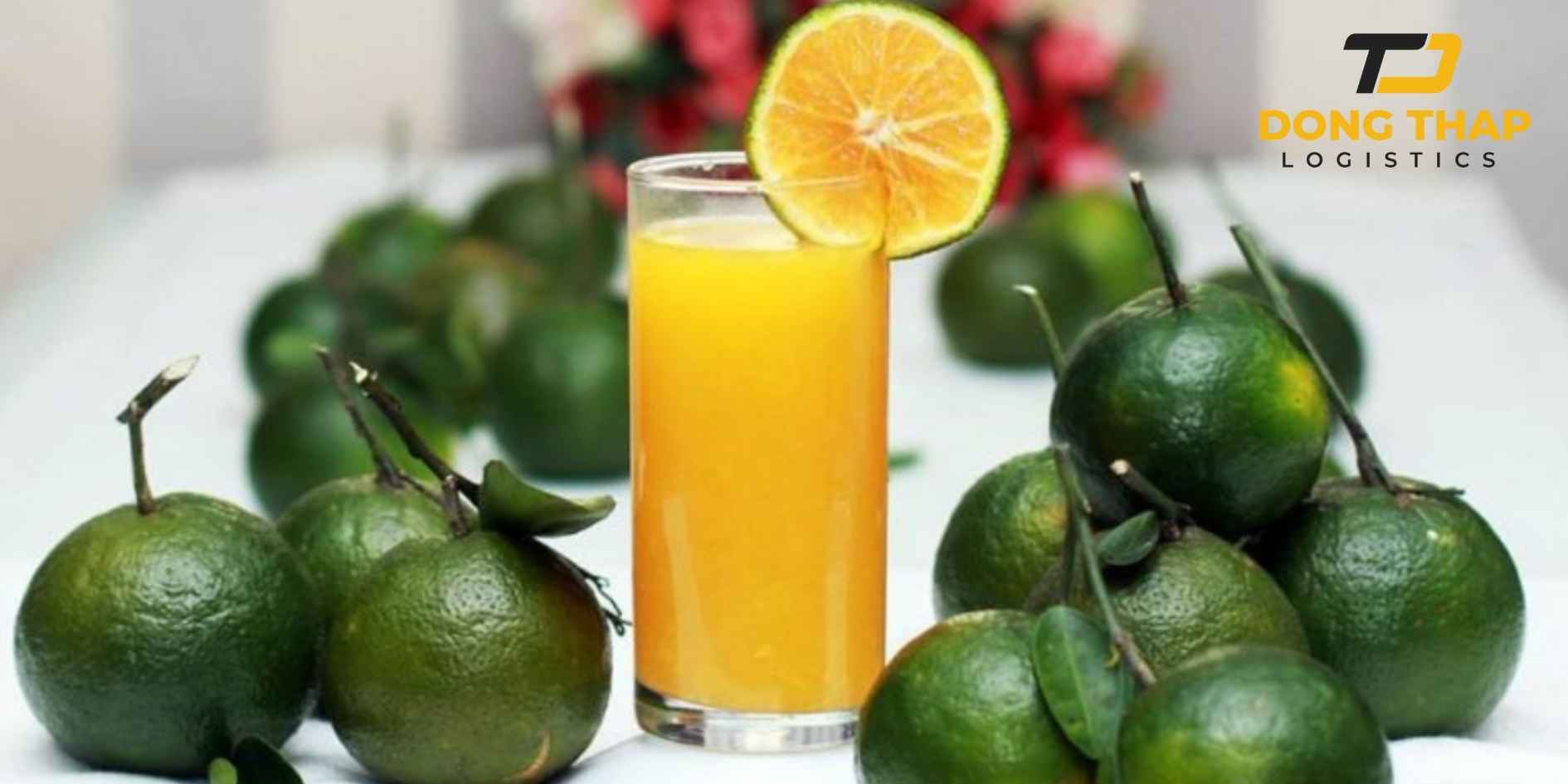 Vận Chuyển Cam Sành Vĩnh Long Ra Hà Nội – Giữ Trọn Hương Vị Miền Sông Nước