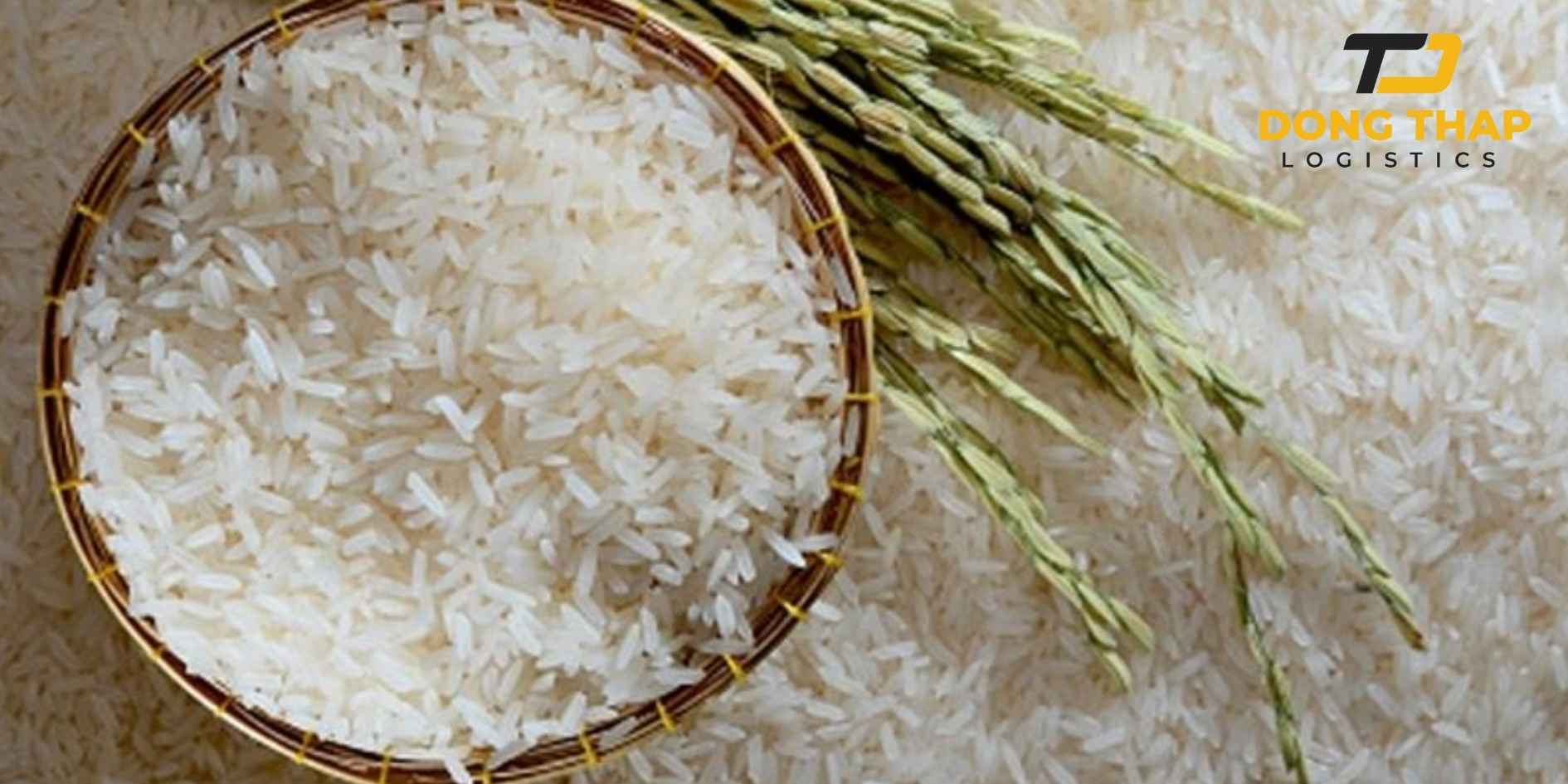 Vận Chuyển Gạo ST25 Đồng Tháp Sang Singapore - Bảo Đảm Hạt Gạo Thơm Ngon