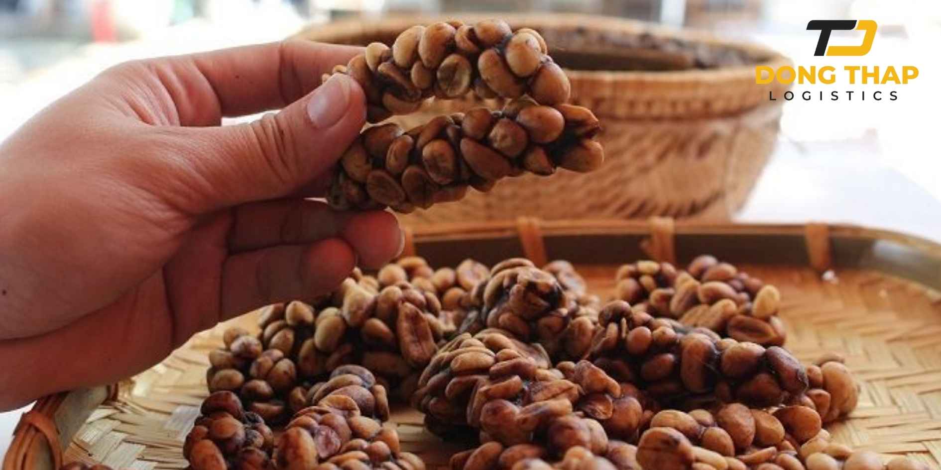 Vận Chuyển Cà Phê Chồn Việt Nam Sang Pháp – Giữ Trọn Hương Vị Đặc Sản