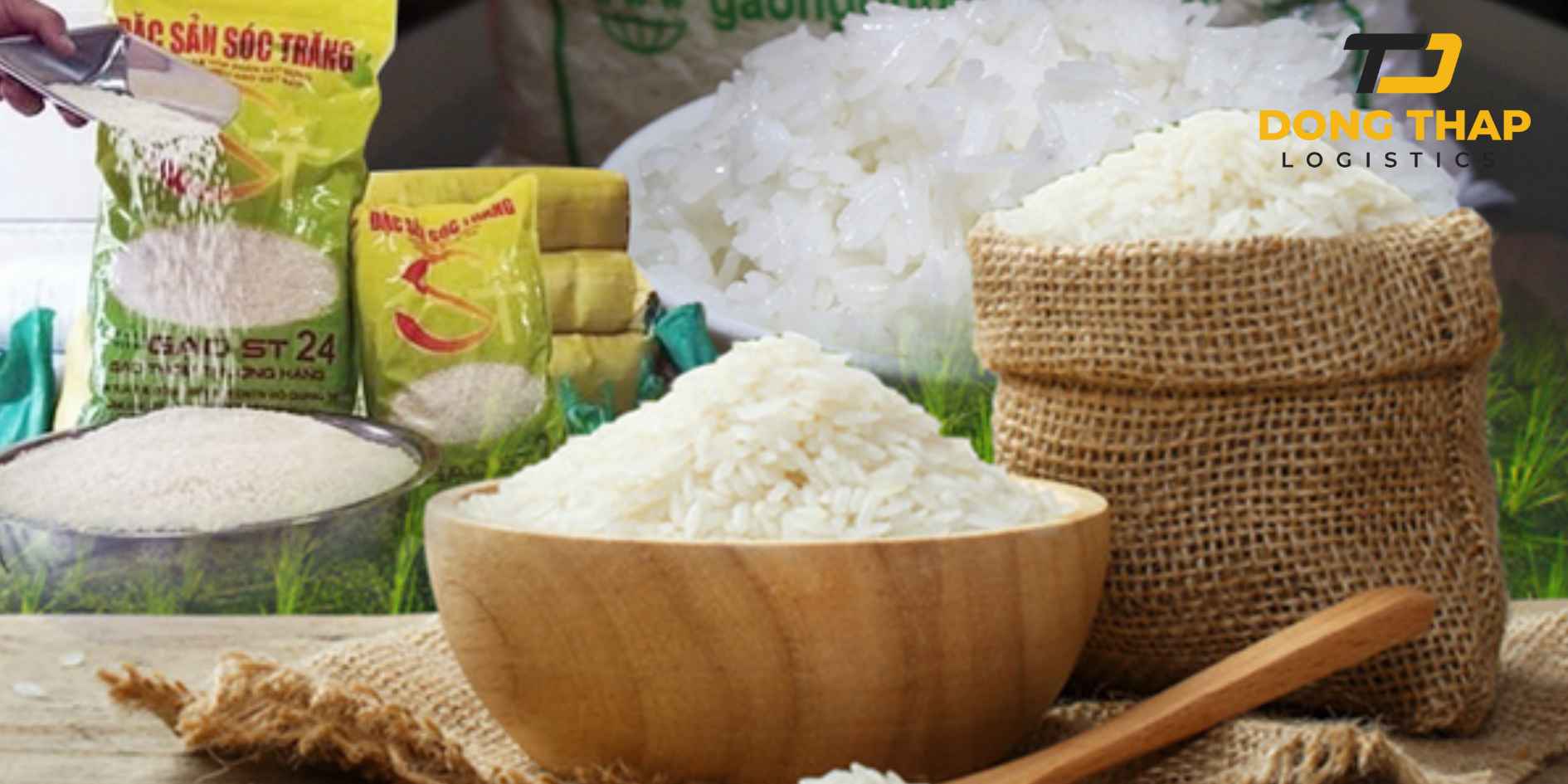Vận Chuyển Gạo ST25 Đồng Tháp Sang Singapore - Bảo Đảm Hạt Gạo Thơm Ngon