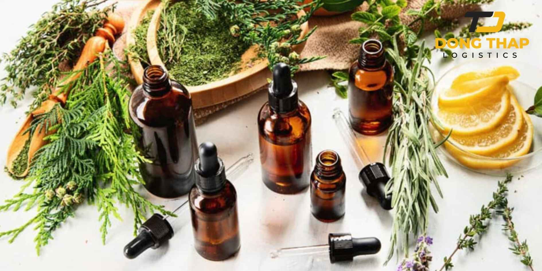 Vận Chuyển Mỹ Phẩm Thuần Chay Sản Xuất Tại Việt Nam Sang Đức – Đảm Bảo Tiêu Chuẩn Đóng Gói Và Kiểm Định