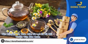 Vận Chuyển Trà Thảo Mộc Đà Lạt Ra Hà Nội – Thuận Tiện Bảo Quản
