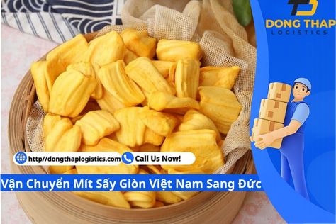 Vận Chuyển Mít Sấy Giòn Việt Nam Sang Đức