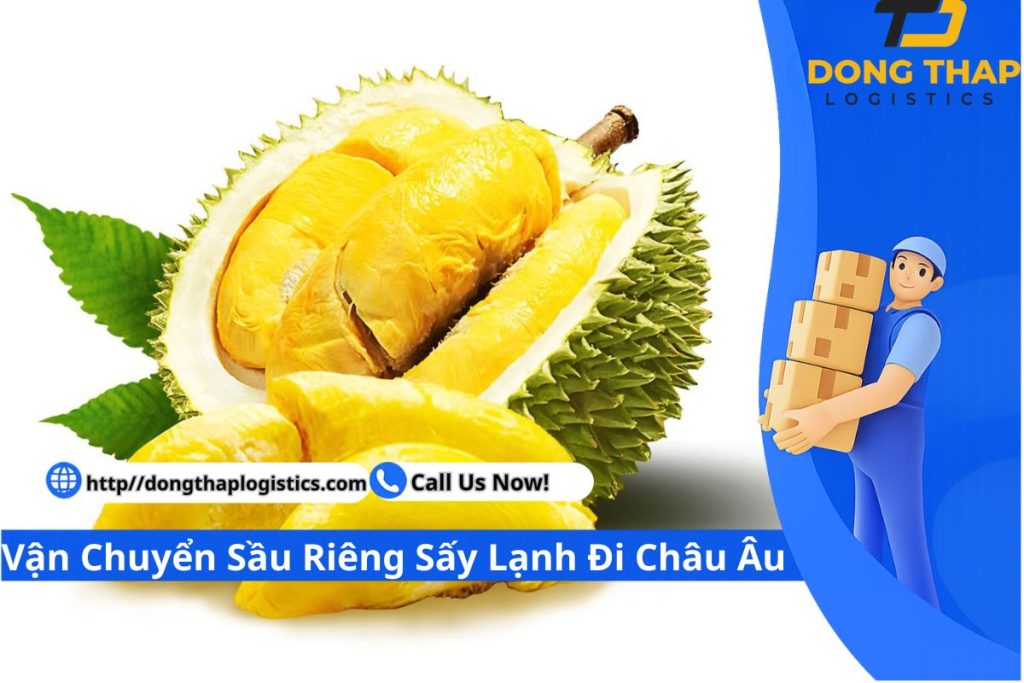 Vận Chuyển Sầu Riêng Sấy Lạnh Đi Châu Âu